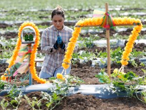 World faces food catastrophe if Strait of Hormuz disruption persists